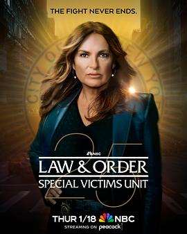 法律与秩序：特殊受害者第二十五季 第01集