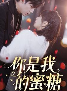 你是我的蜜糖 第1-20集