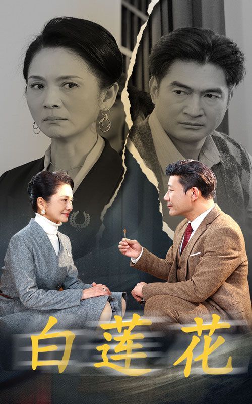 白莲花 第21-40集完结(大结局)