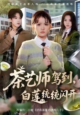 茶艺师驾到白莲统统闪开(全集)