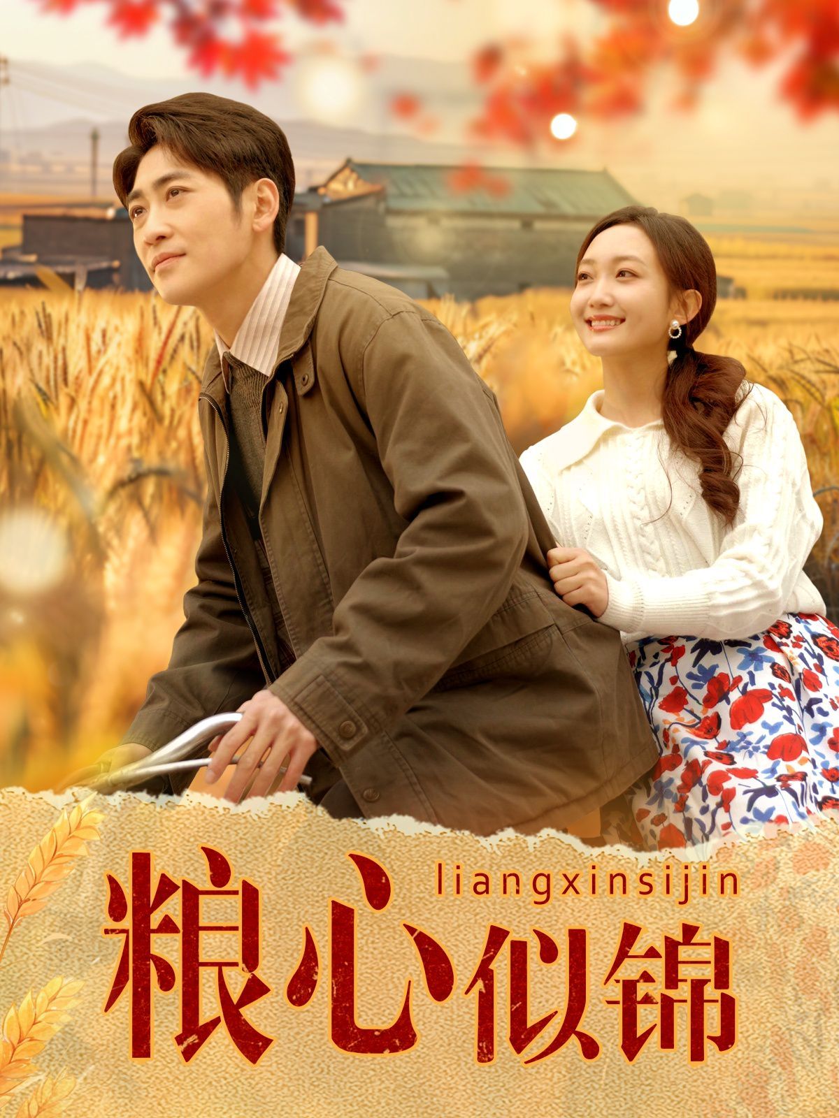 粮心似锦 第31-60集