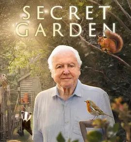 后院里的秘密生物(全集)