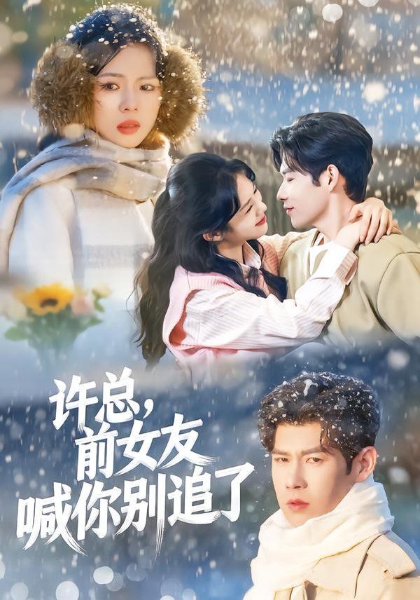 许总，前女友喊你别追了(全集)