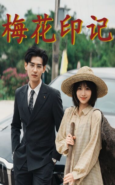 梅花印记 第21-40集