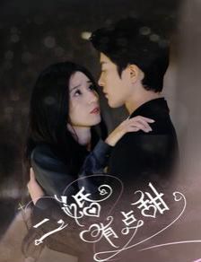 二婚有点甜 第1-20集