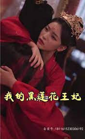 我的黑莲花王妃 第6集