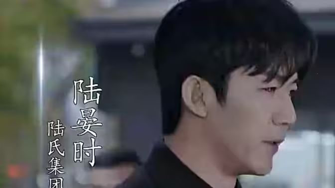 抢婚！陆总蓄谋已久 第1-30集